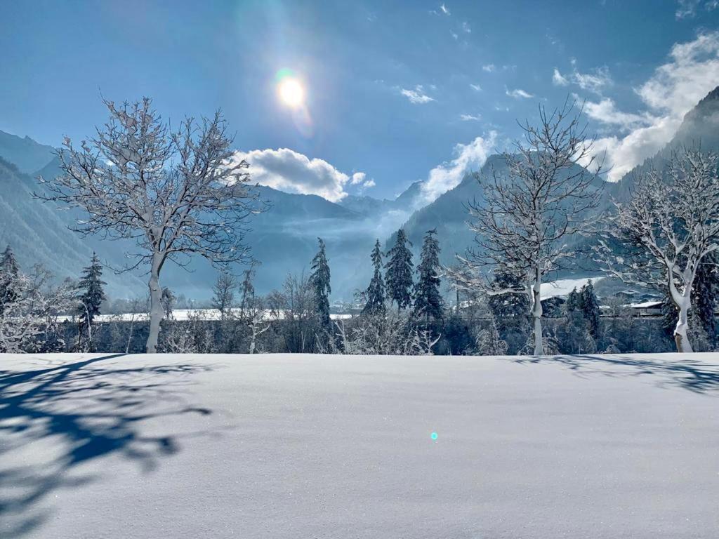 Appartement Haus Bella Mayrhofen